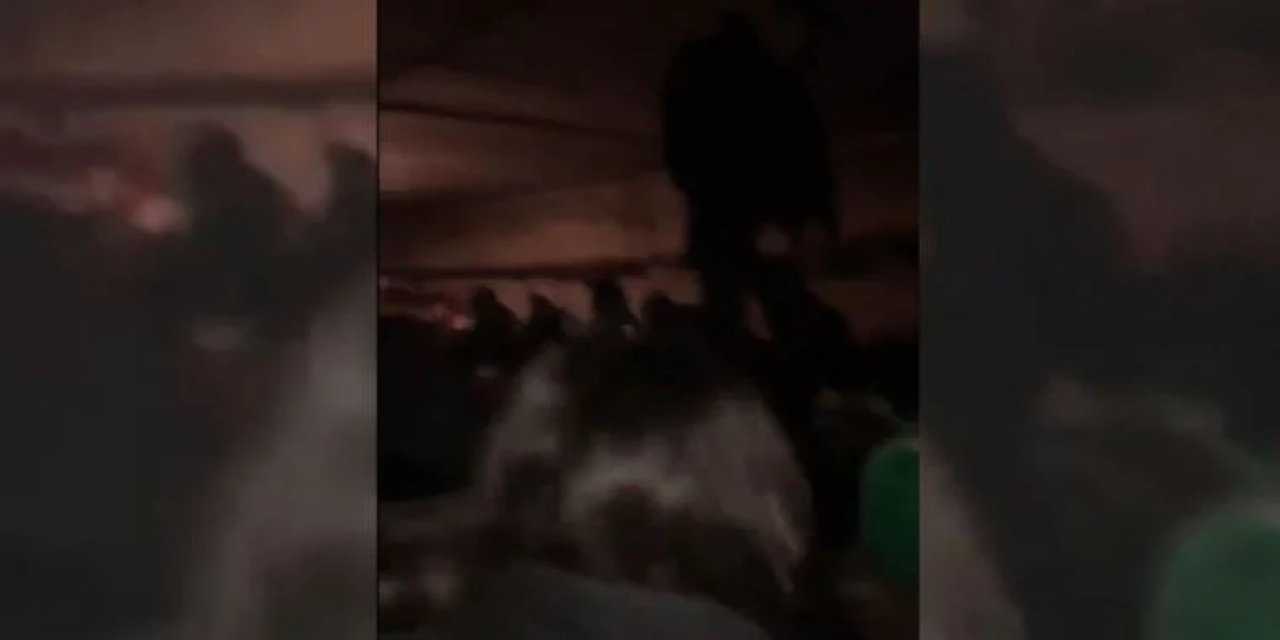 CHP'li Mahmut Tanal paylaştı: "İmdat' çağrısında bulunuyorlar"