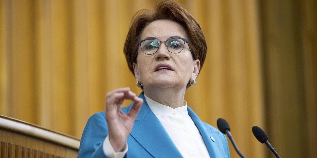 Meral Akşener Erdoğan'a sözlerini hatırlattı: "Ayyaş dedikleri birinci dünya savaşının küllerinden bir devlet bir ülke kurdu"