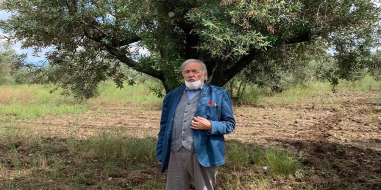 İlber Ortaylı 'zeytinlik' düzenlemesine isyan etti: 'Çok geç olacak...'