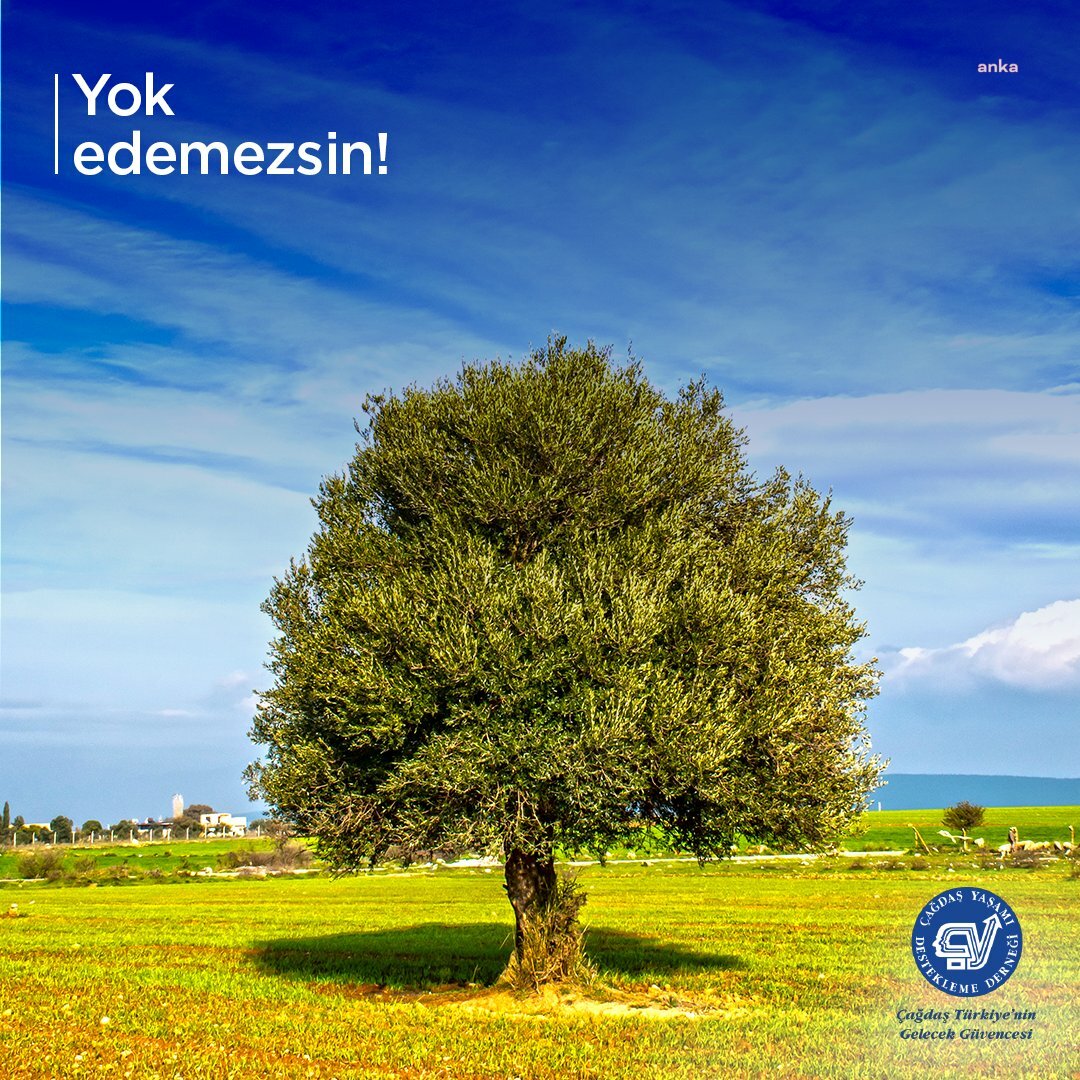 Çağdaş Yaşamı Destekleme Derneği: ”Zeytinimiz ulusal varlığımızdır”