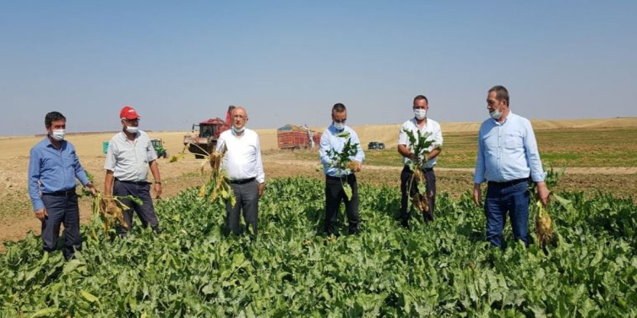 Çiftçi üretimden vazgeçiyor: "Önlem alınmazsa..."