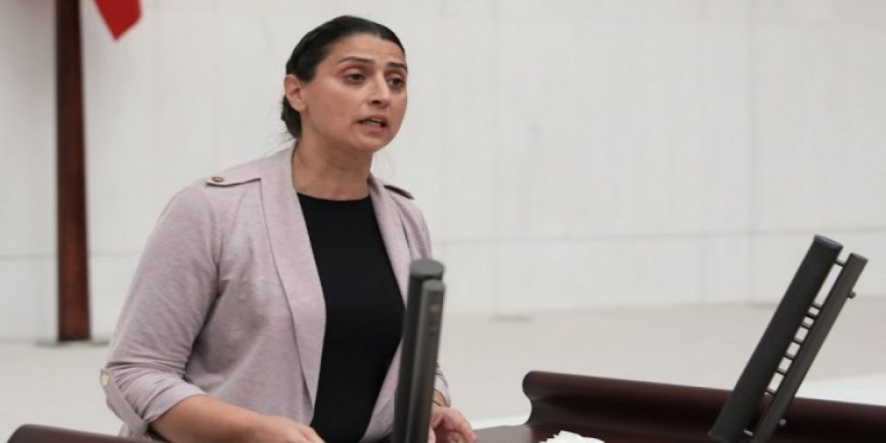 HDP'li Feleknas Uca hakkında fezleke hazırlandı