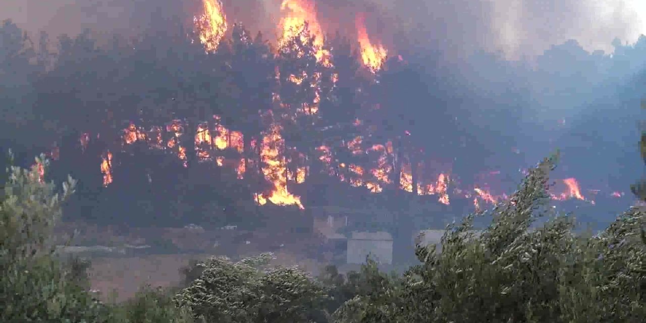 MURATPAŞA BELEDİYESİ YANAN ORMANLARI DRONE İLE TOHUMLUYOR