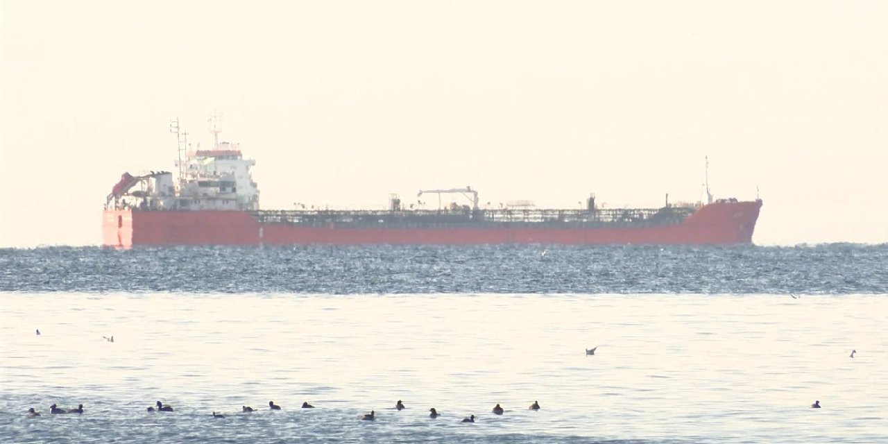 Ayçiçek yağı yüklü gemi Marmara Denizi'ne açıldı