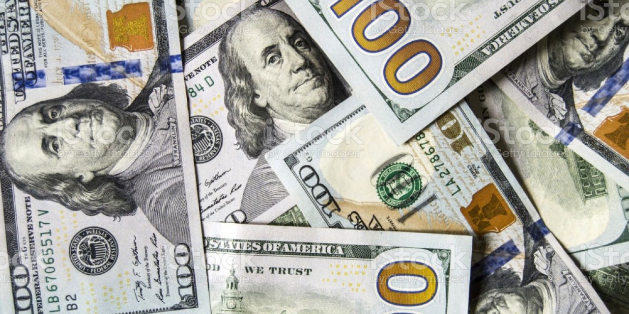 Lütfi Elvan'ın Hazine ve Maliye Bakanlığı'na atanmasının ardından doların son durumu