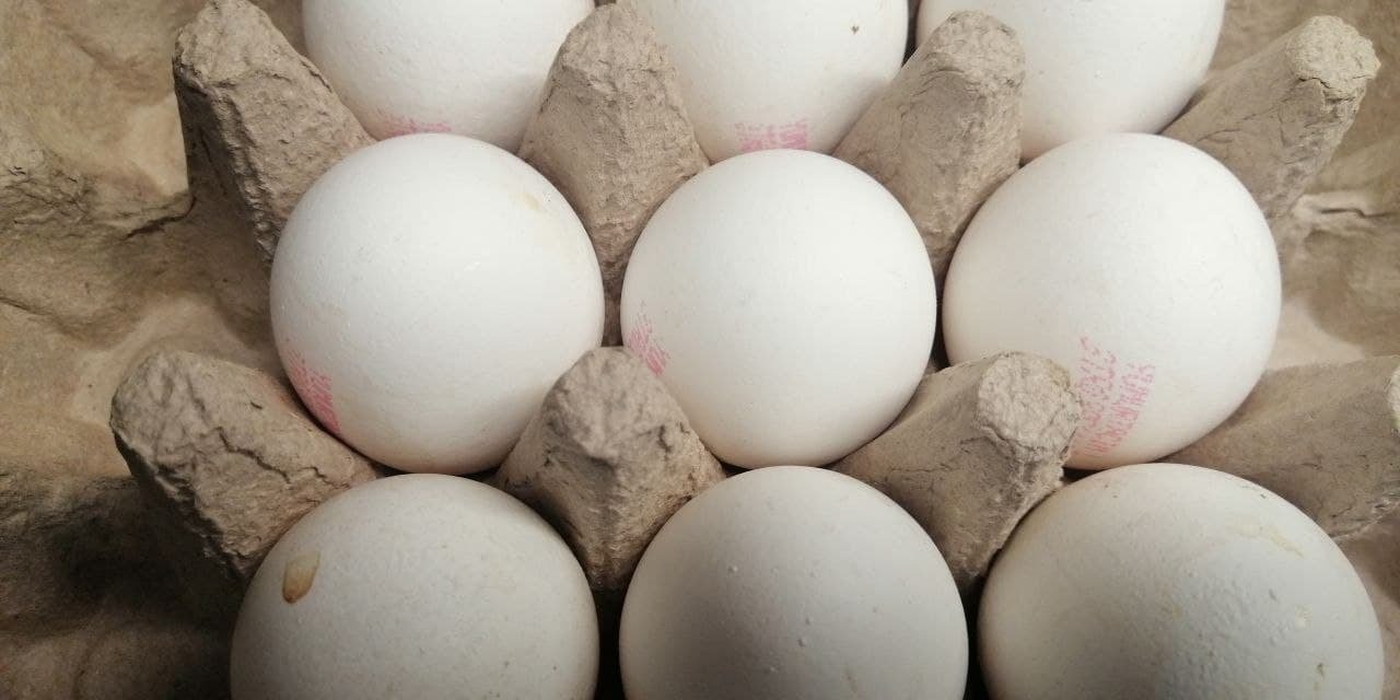 TÜİK açıkladı: Tavuk yumurtası üretimi yüzde 1.5 azaldı