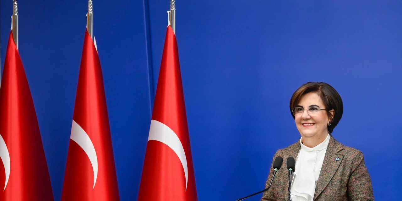 Gaye Usluer: "Doktorlar g(ö)rev eyleminde"