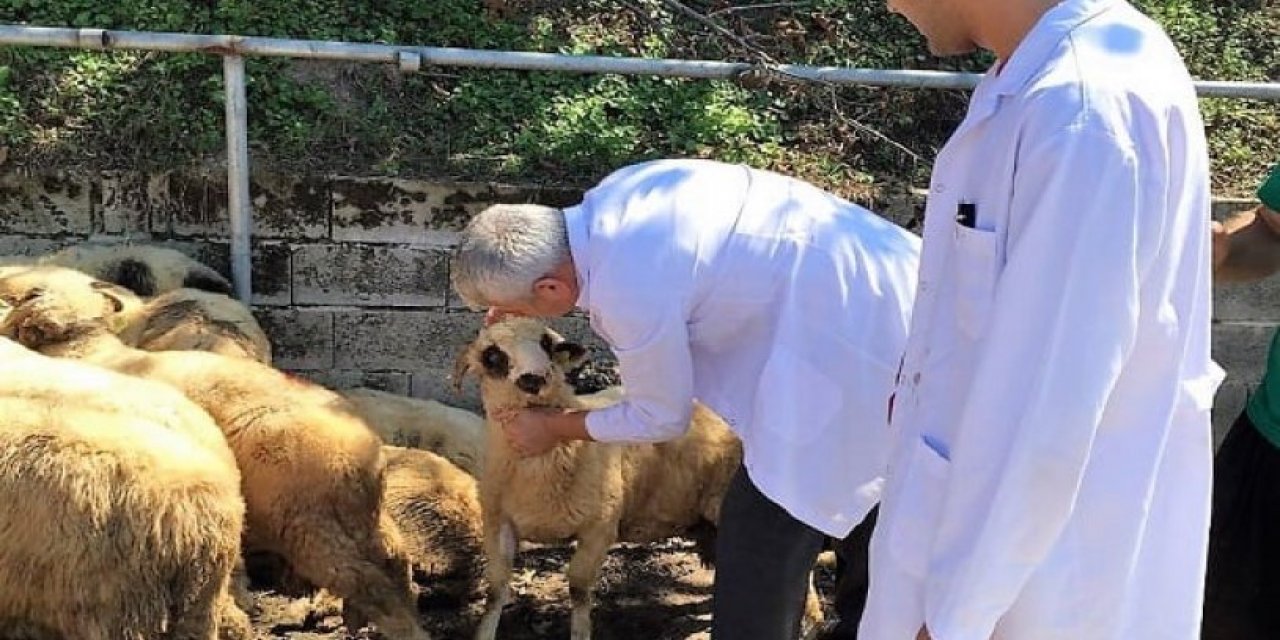 Veterinerlerden görevlerini yapmayan yetkililer hakkında dava