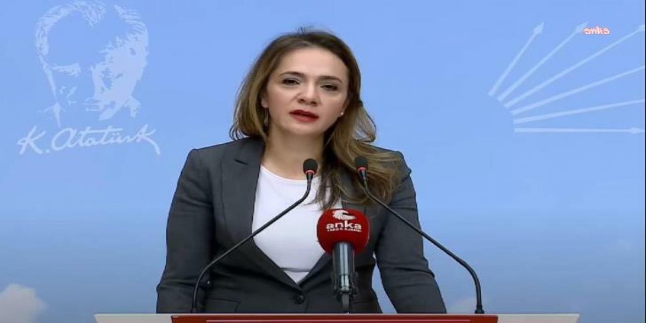 CHP’li Gamze Akkuş İlgezdi: “Sanatçılara neden yüzde 2,5 fark 2 aydır yatırılmamaktadır?"
