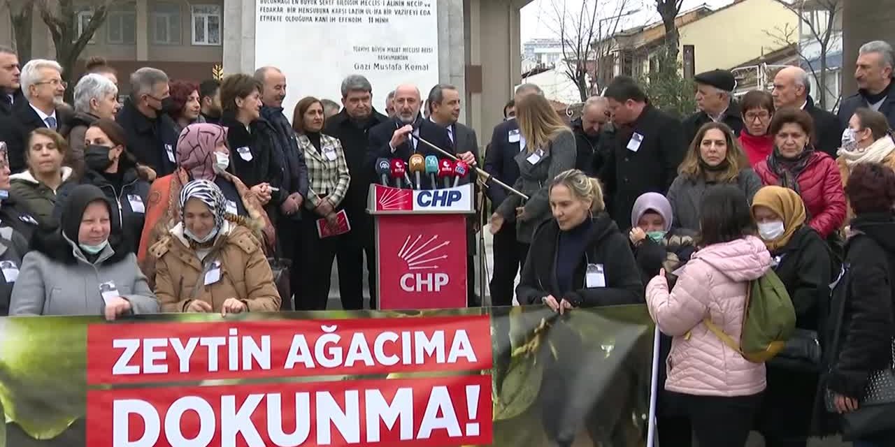 CHP’den Mudanya'da 'Zeytin Ağacıma Dokunma' protestosu: "AK Parti hükümeti zeytin ağacına, doğaya, çevreye düşman"