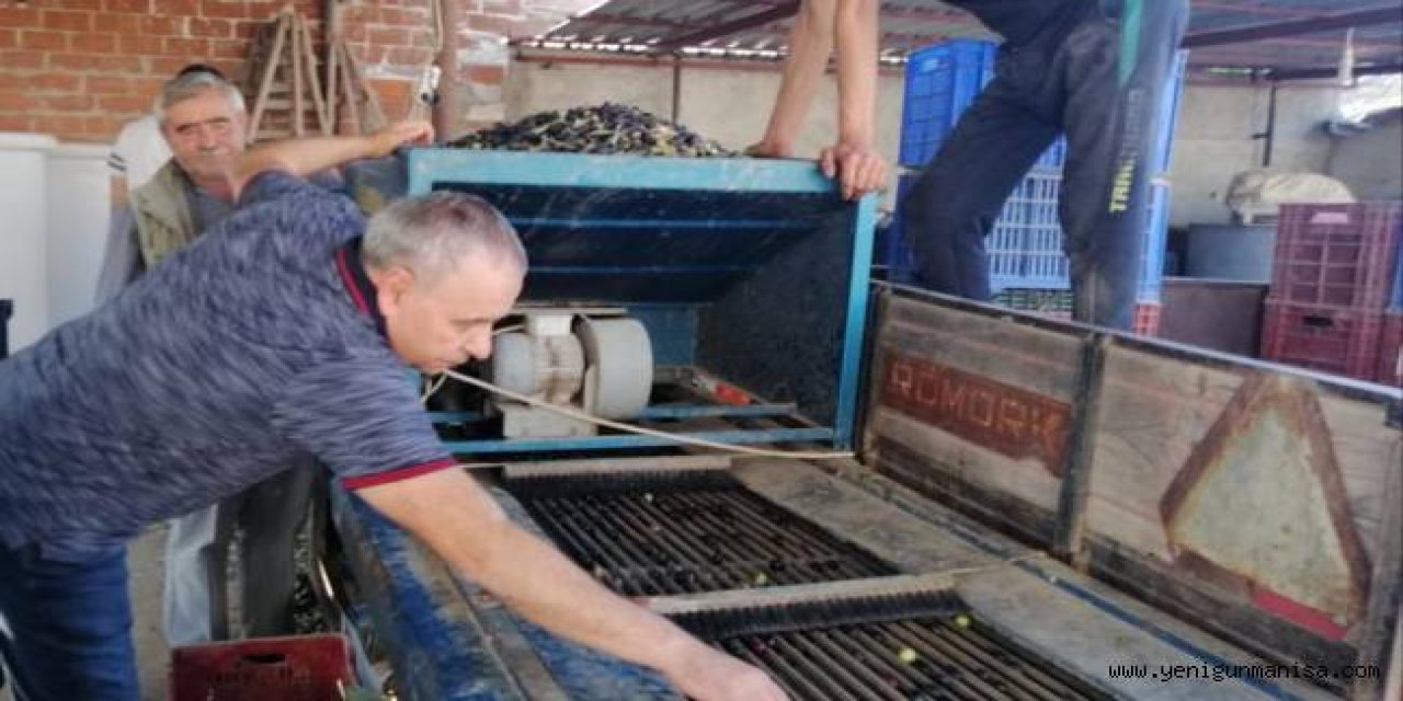 Zeytinyağı ihracatı yasağı TBMM gündeminde: "100 bin ton fazlamız var"