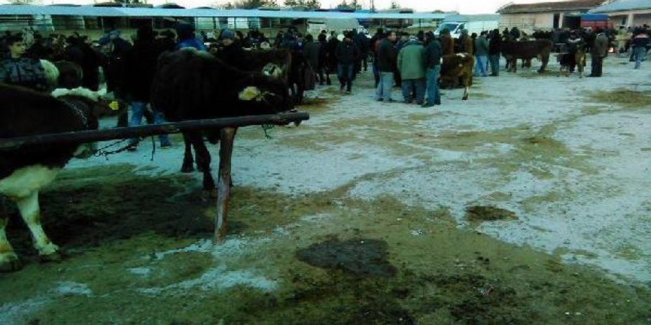 Bir ilçede şap karantinası: Giriş ve çıkışlar kapatıldı