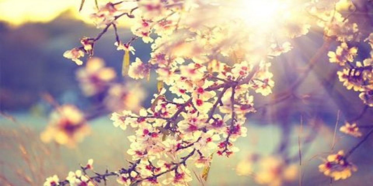 Meteoroloji müjdeyi verdi: İşte havaların ısınacağı tarih!