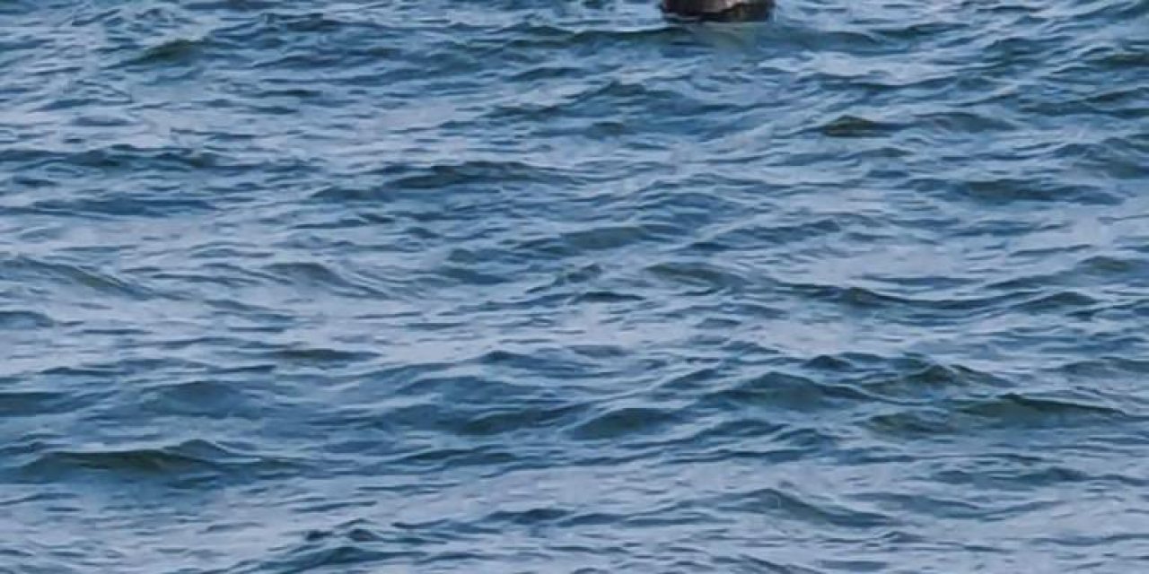 İstanbul Boğazı'nda mayın benzeri cisim bulundu, Boğaz gemi trafiğine kapatıldı!