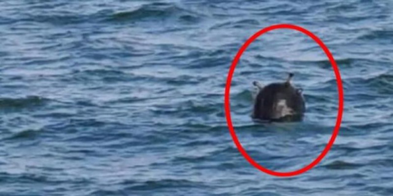 Karadeniz'deki 'mayın tehlikesiyle' ilgili yeni açıklama: "Teyakkuz halindeyiz"