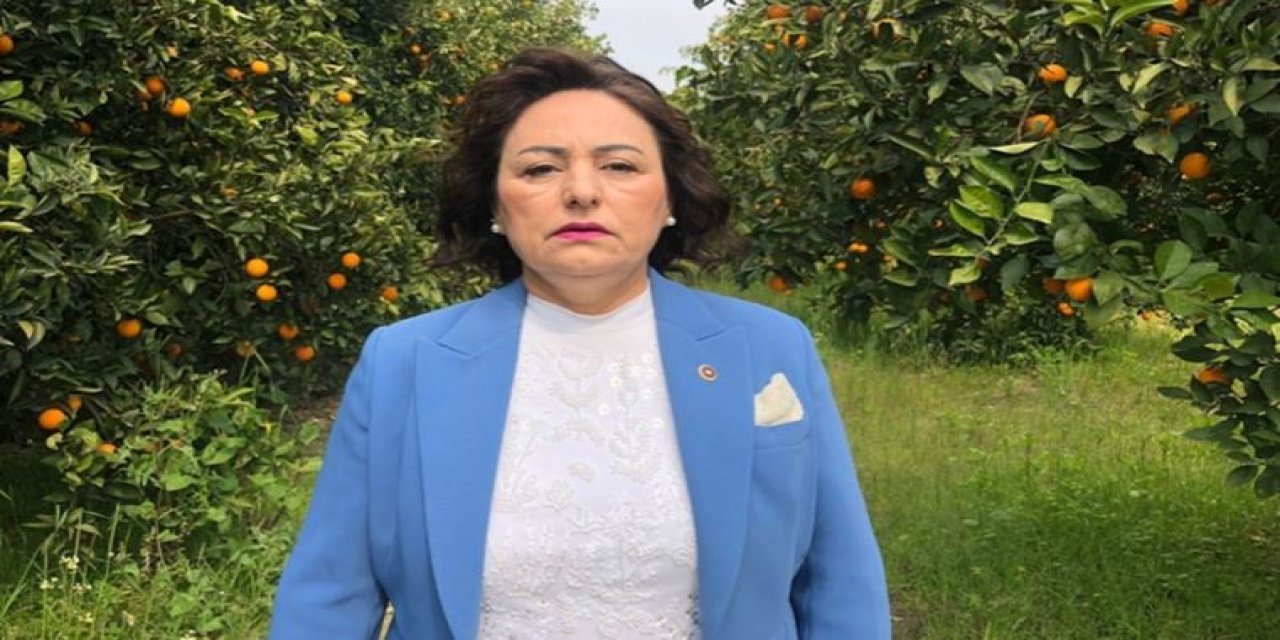 CHP'li vekilden Erdoğan'a '200 liracık' tepkisi: "Vatandaşın aklıyla alay etmektir"