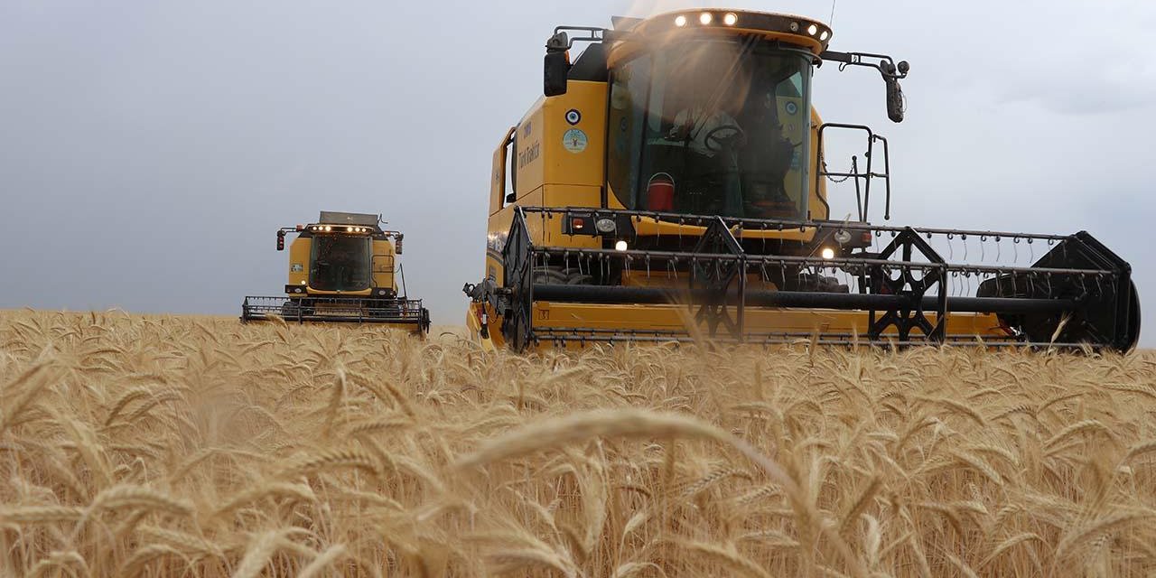 Veysel Ulusoy'dan gıda krizi yorumu : 'Bedel ödüyoruz'