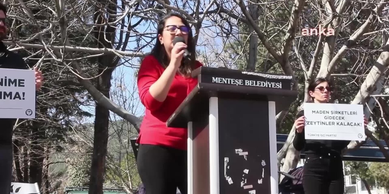 Milaslı zeytin üreticisi Fikret Çoban: “Sıranın zeytine gelmesi demek, bıçağın kemikte olması demektir"