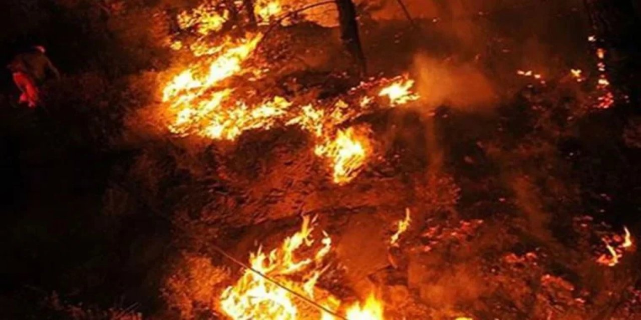 Adım adım nükleer felakete doğru mu gidiliyor? Çernobil'de 31 noktada yangın