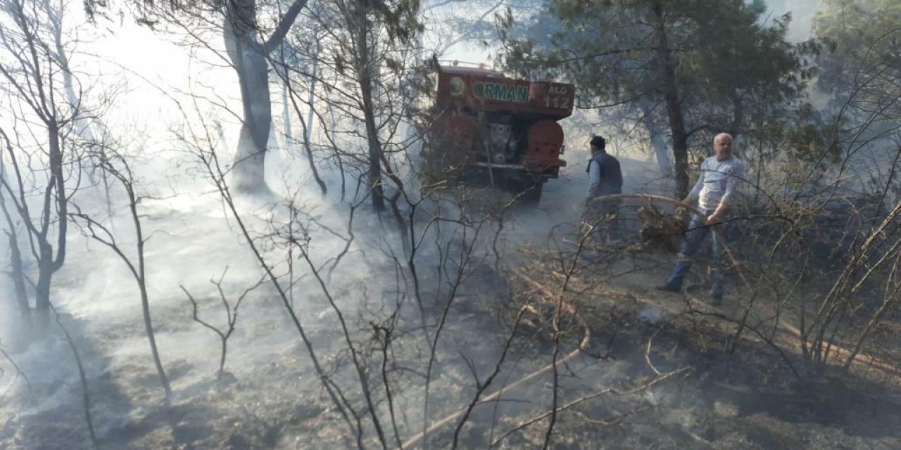 Manisa Soma'da orman yangını