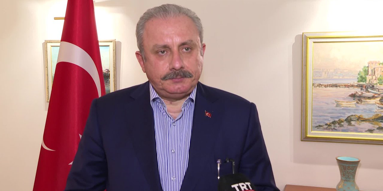 TBMM Başkanı Şentop Ukrayna- Rusya müzakerelerini değerlendirdi: "Arzumuz ille de Türkiye olsun değil..."