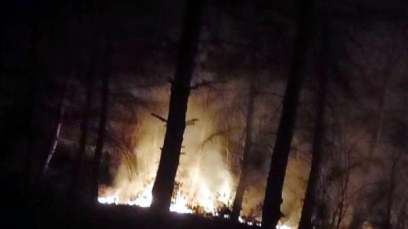 Tekirdağ'da orman yangını