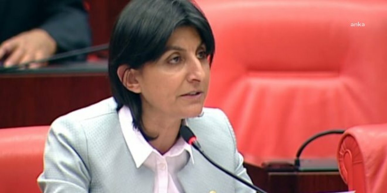 Nişantaşı Üniversitesi'ndeki işten çıkarmaları TBMM gündemine taşıdı