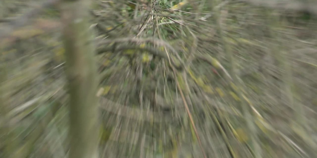 Ekrem İmamoğlu 'Kuş Göçü Gözlem Etkinliği'ne' katıldı