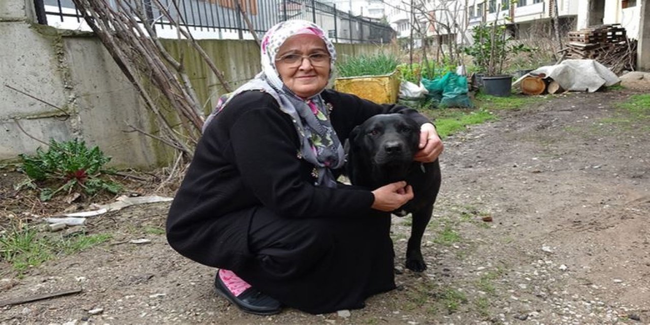 Köpeğe şiddeti engelledi: “Köpeğin acı çektiğini görünce gözüm karardı"