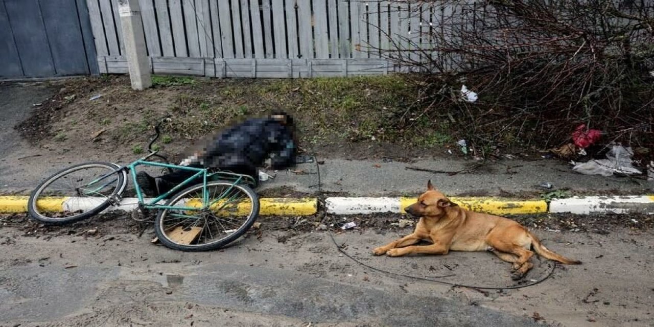 Dünyanın gündeminde: Bucha'daki sadık köpek herkesin yüreğini burktu