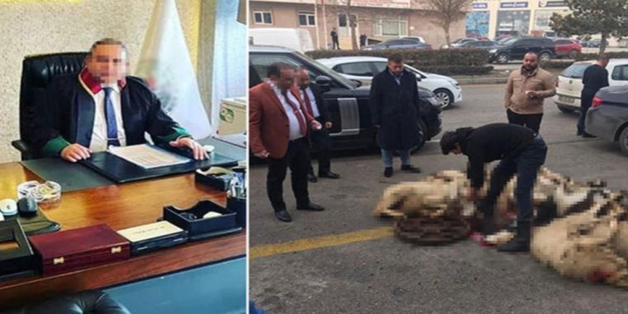 Serbest bırakılmasını 'kurban keserek' kutlamıştı: O avukat bu kez tutuklandı