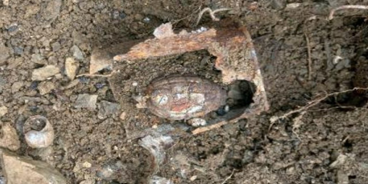 Bahçesini temizlerken el bombası buldu