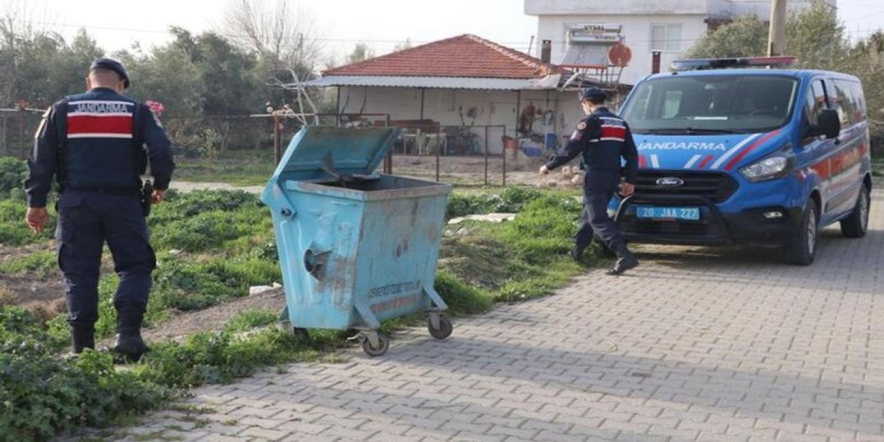 Denizli'de zehirlenen 20 kedi ve köpek ölü bulundu