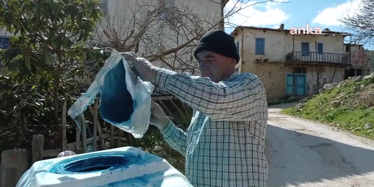 Bilecikli zeytin üreticisi: "Bu sene ilaçlamayı tam yapamayacağız"