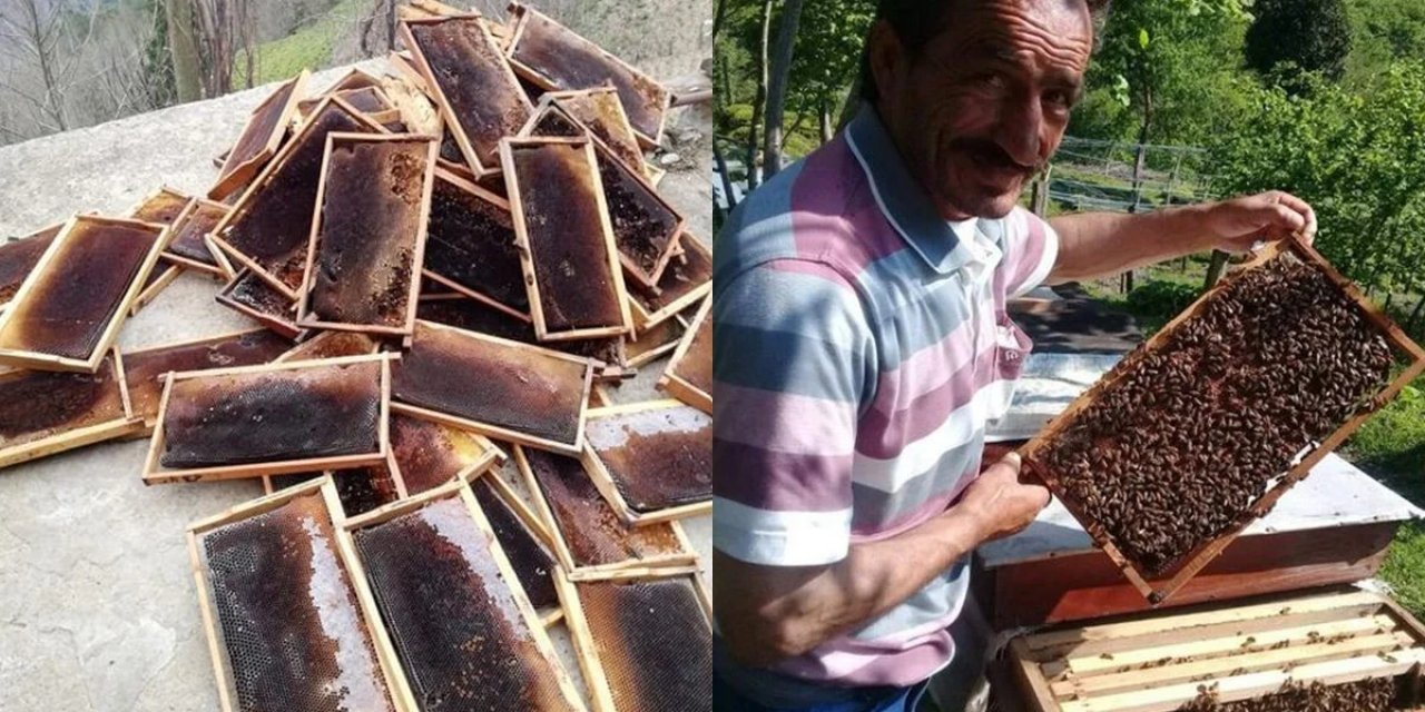 Cengiz İnşaat'ın verdiği zarar ortaya çıkmaya başladı! Bilirkişi uyarmıştı, arılar ölmeye başladı