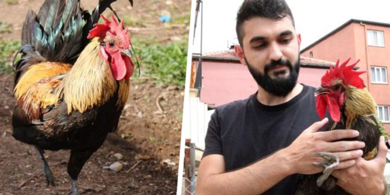 Ünü dünyaya yayılmıştı: 'Horoz Bahtiyar'dan kötü haber