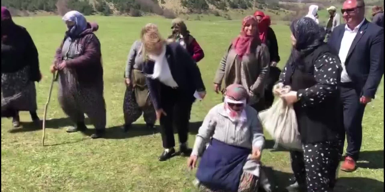 Samsunlu köylüler, yaylalarına sahip çıkıyor: 'Teşvik vereceğiz’ dediler, vermediler, şimdi benim elimden yaylamı alıyor'