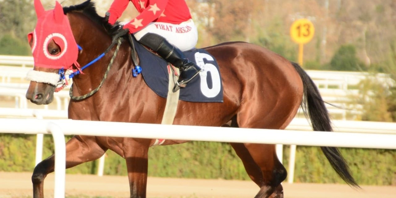 At yarışından dönen apranti kazada hayatını kaybetti