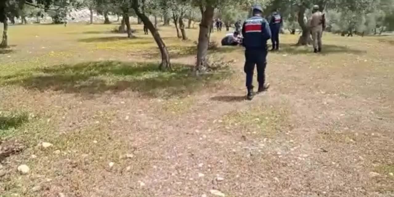 İZMİR'DE ZEYTİNLİK ARAZİDE AÇ VE SUSUZ KALAN 94 GÖÇMEN KURTARILDI