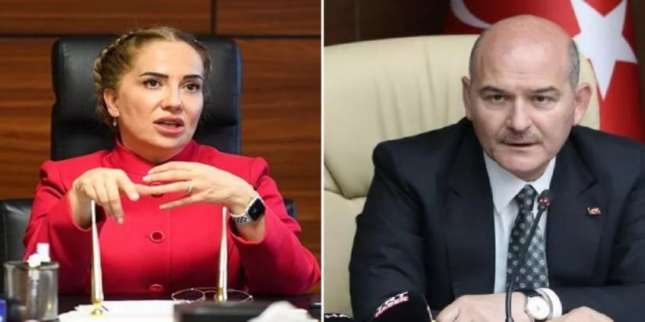 Eşi Gezi davasını eleştirdiği için merkeze çekilmişti: 'Soylu gece arayarak 'İstifa et' dedi, vali 'Etmiyorum' yanıtını verdi'