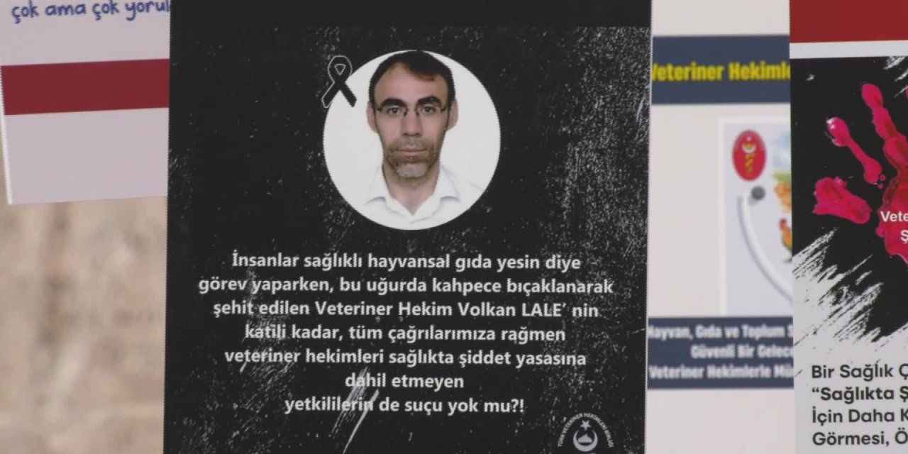 “VETERİNER HEKİMLERİN BİR AN ÖNCE SAĞLIKTA ŞİDDET UYGULAMASI KAPSAMINA ALINMASINI ZARURİ GÖRÜYORUZ”