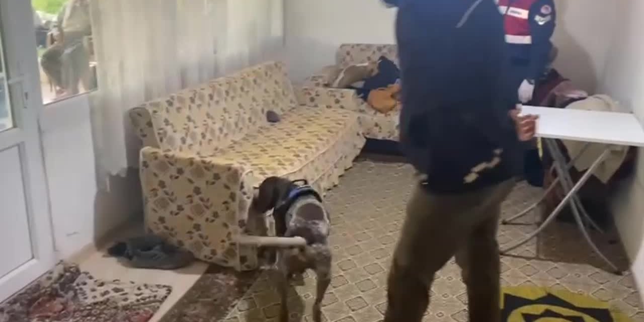 İZMİR'DE UYUŞTURUCU OPERASYONU: 14 KİŞİ GÖZALTINA ALINDI, 8'İ TUTUKLANDI