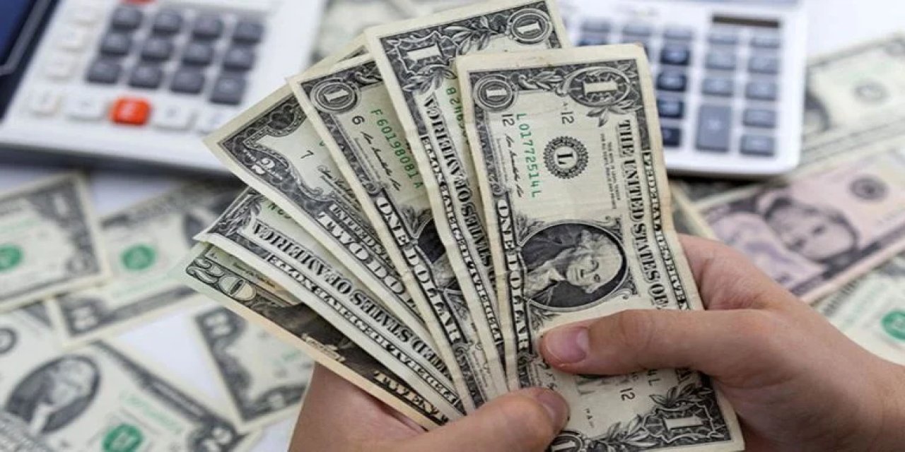 Danske Bank'tan dolar/TL tahmini: '20 seviyesini görebilir'