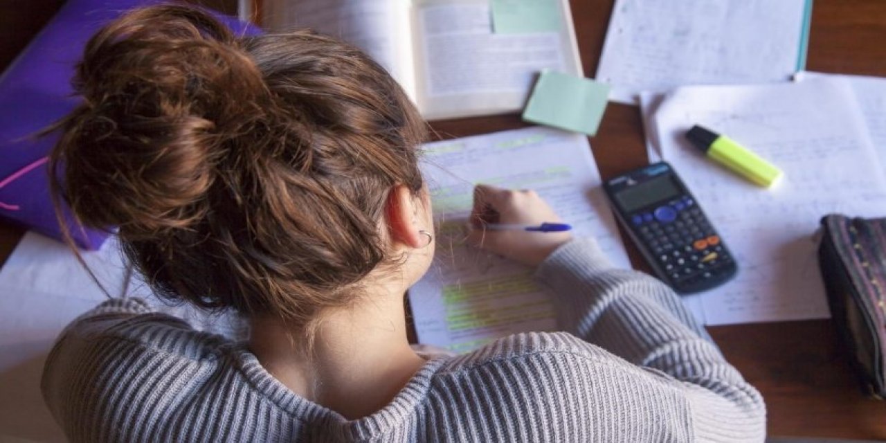 LGS’de tartışma yaratan ‘at sorusu’: Kimi skandal dedi, kimi mantıklı buldu