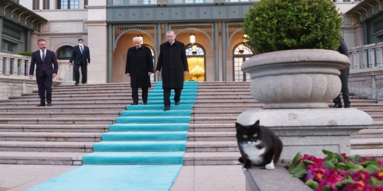 Erdoğan ve Bahçeli’nin Kılıçdaroğlu planı ile ilgili çarpıcı iddia: '6'lı masayı böyle dağıtmayı hedefliyorlar!'