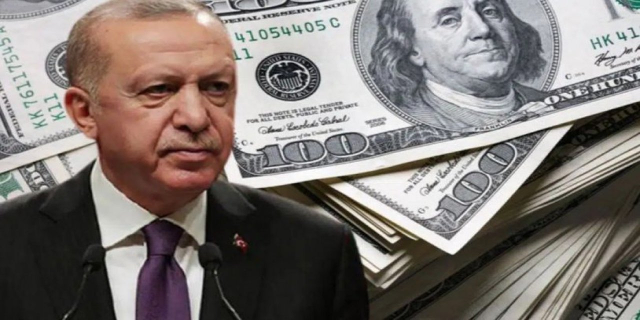 Eski Merkez Bankası Başekonomisti Hakan Kara, Türkiye'nin 'iflasını' işaret etti