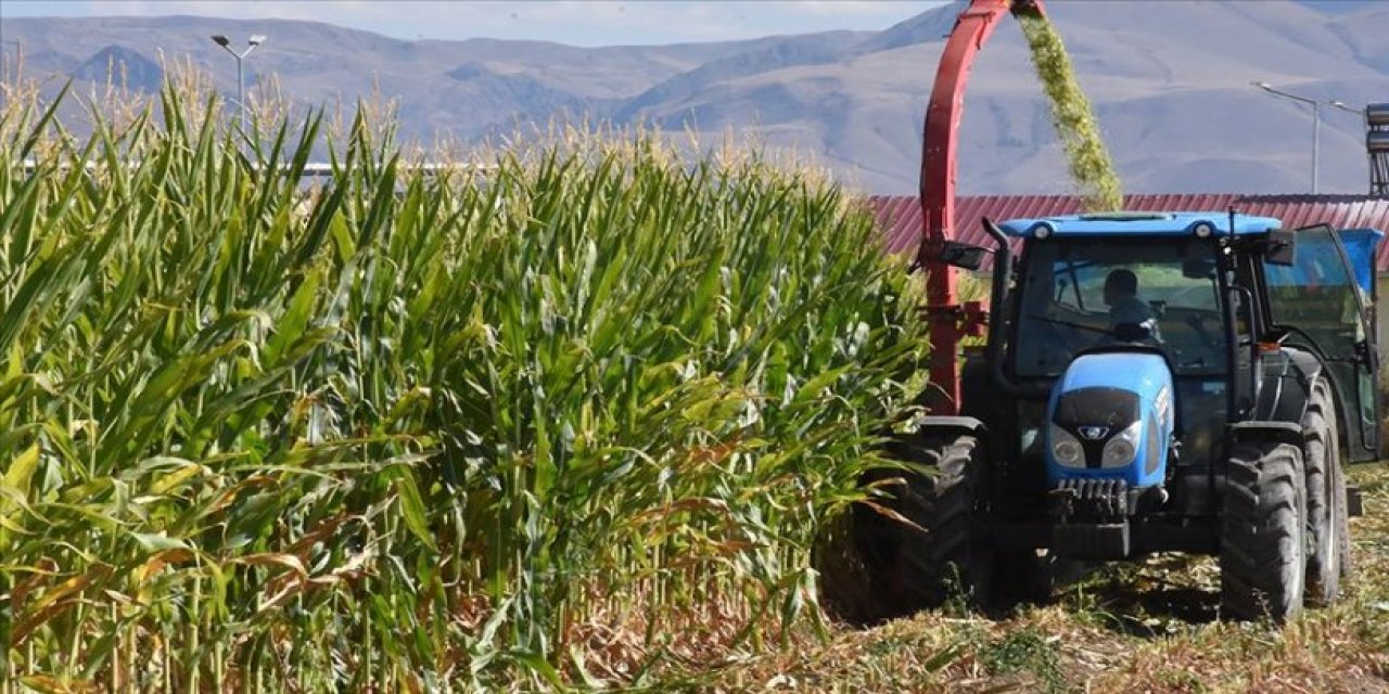 Tarımda üretici enflasyonunda bir rekor daha!