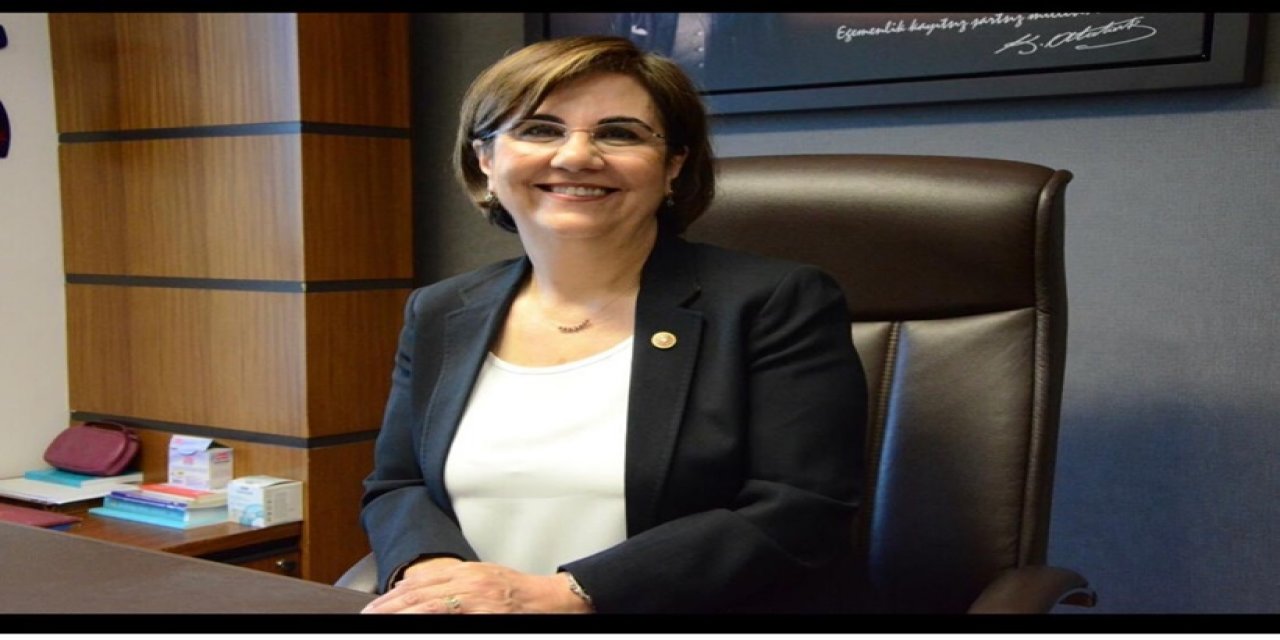 Gaye Usluer: Memleket Partisi planlı, programlı kurumsal bir kimliğe sahip olamadı