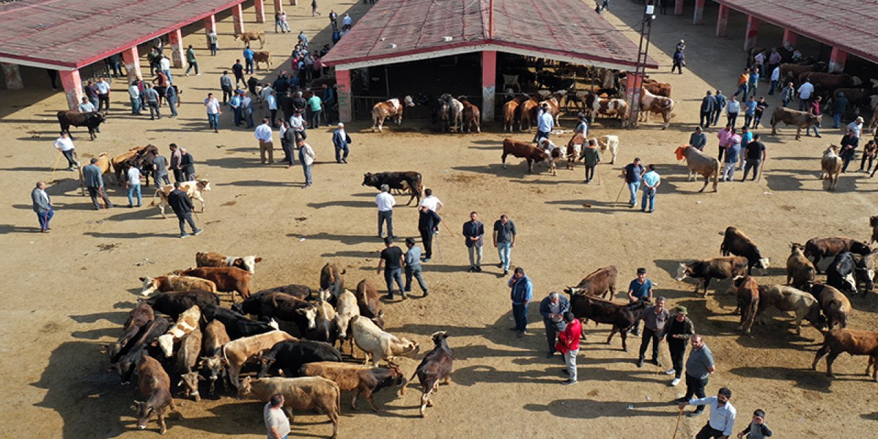 İnternetten kurban alacaklara uyarı!