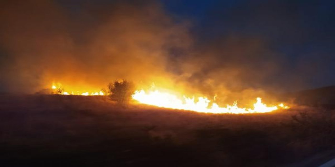 Ankara'da orman yangını 